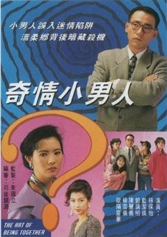 偷心大少DVD,奇情小男人DVD,易購DVD轉賣店-www.rutenmall.com