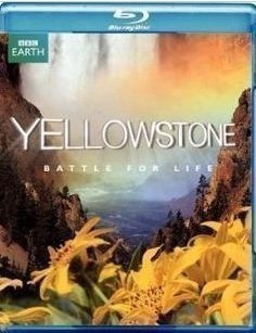 黃石國家公園DVD,YELLOWSTONEDVD,易購DVD轉賣店-www.rutenmall.com