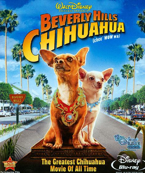 比佛利拜金狗DVD,比佛利吉娃娃DVD,走佬芝娃娃DVD,富貴吉娃娃DVD,易購DVD轉賣店-www.rutenmall.com