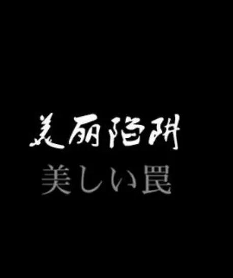 美麗陷阱DVD,易購DVD轉賣店-www.rutenmall.com